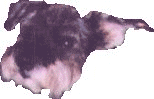 Nick's Head