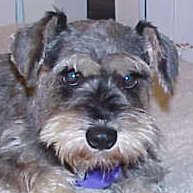 Holly 08-21-99