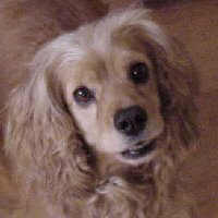 Lady 05-05-99