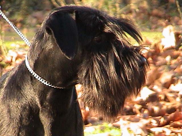 Novembre 2000