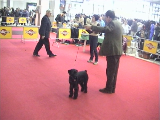 Milano 2001