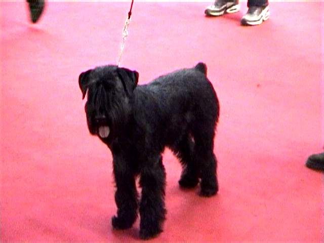 Milano 2001