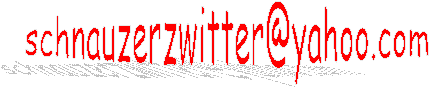 schnauzerzwitter@yahoo.com