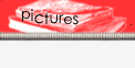 pictures