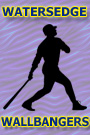Akron Aeros