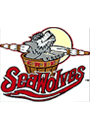 Erie Sea Wolves