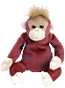 SCHWEETY