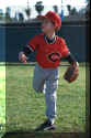 fielding03.jpg (35610 bytes)