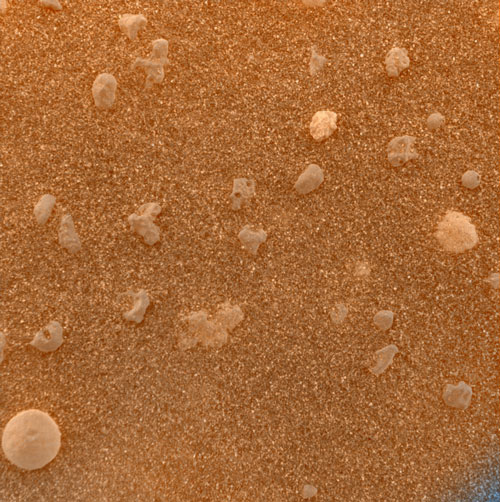 Opportunity Rover Picture 5
