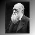 Charles Darwin old