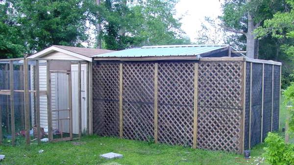 Cathouse