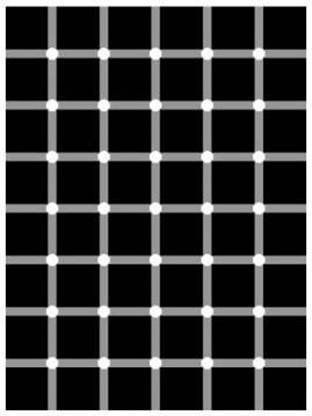 try to count the black dots