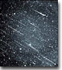 Leonid Shower