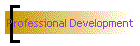 Professional Development