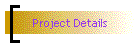 Project Details