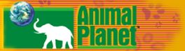 AnimalPlanet
