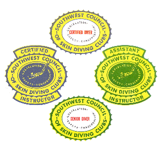 SCIP logos of various certification levels.