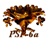 PSP-6 Advance