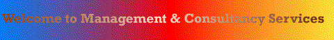Welcome to Mangement & Consultancy Service