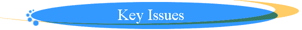 Key Issues