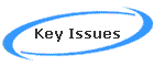 Key Issues