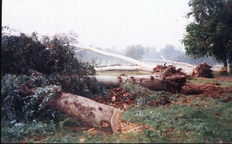 Photo By A Jan for Sarhad Conservation Network