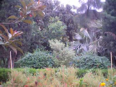 Click to view MORE pictures