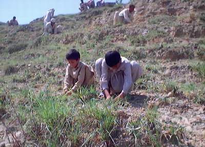 Two Local boys deeply engrossed in their new found hobby