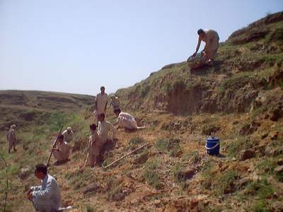 Taking a break after a hard day's work