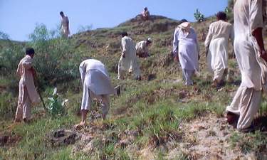 'Khans' and peasants working hand in hand for a greener tomorrow