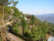 View of the winding Convent Road - Photo: AJ Nov 2006