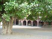Banyan tree and external front view of the Muhafiz Khana (Record Room)