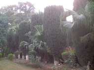 PU Botanical Garden