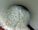 mochi-rice