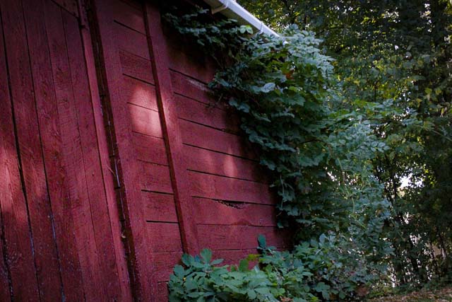 Outside of a woodshed