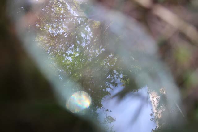 Glass in the grass