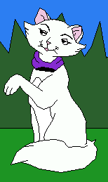 Duchess