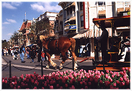 Horse and Carriage