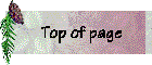 navbp_top.gif (3537 bytes)