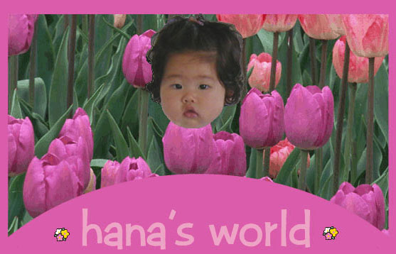 hanas world full sets