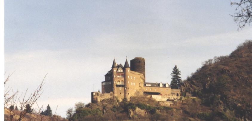 The Rhine