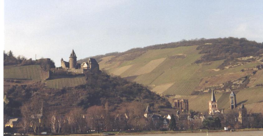 The Rhine