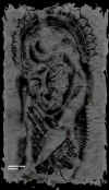 Marlon5mod.JPG (154518 bytes)