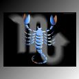 My sign