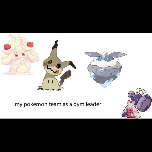 my pokemon team  as a gym leader
