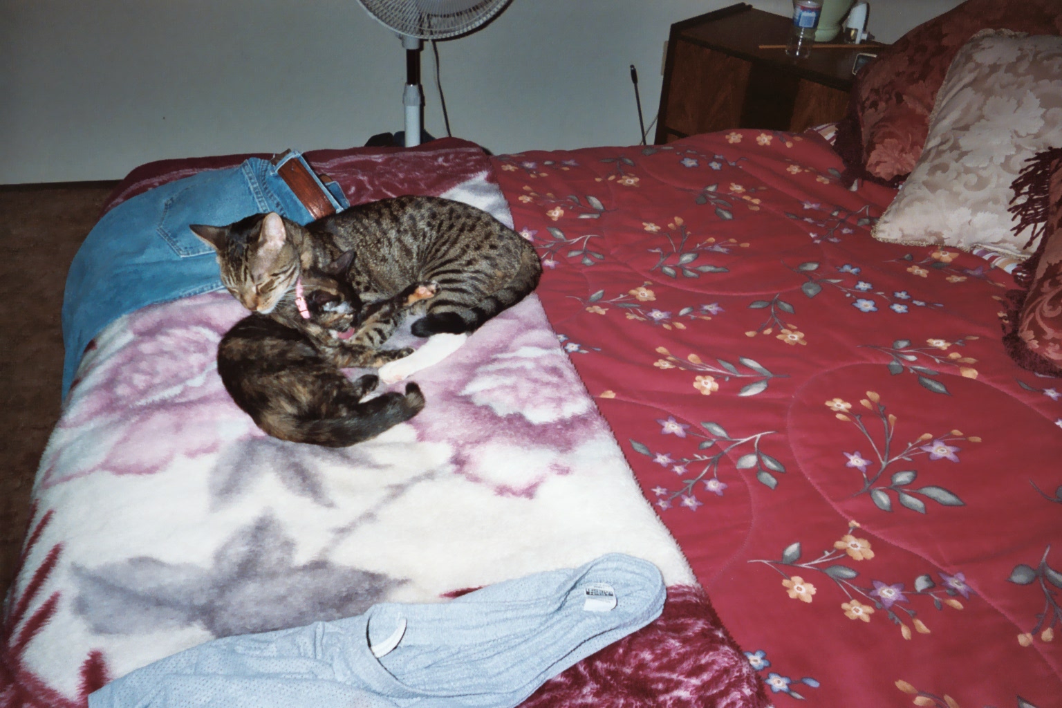 Sleepy Time!