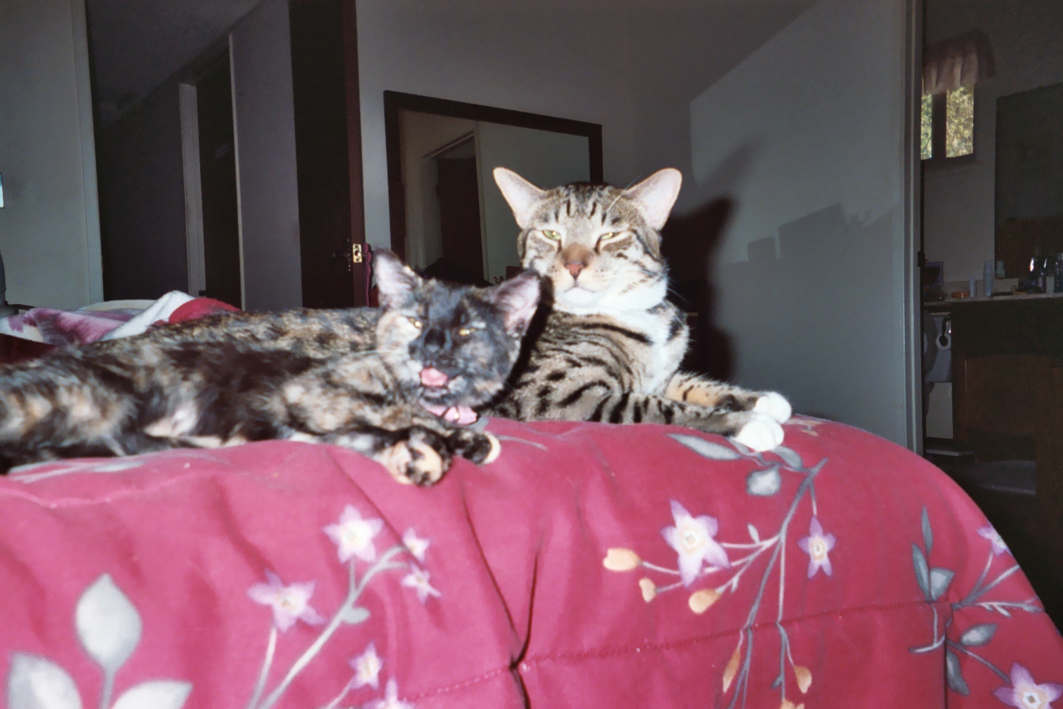 Mac and Sasha