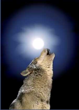 Calling Down the Moon