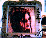 A pic of Twiggy