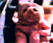 My dog arffy, haha